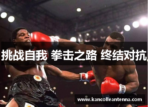 挑战自我 拳击之路 终结对抗