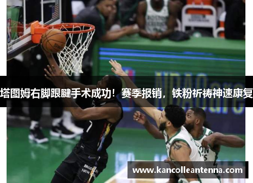 塔图姆右脚跟腱手术成功！赛季报销，铁粉祈祷神速康复